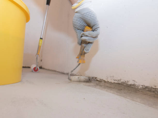 Best Fumigation Services  in Williams, CA